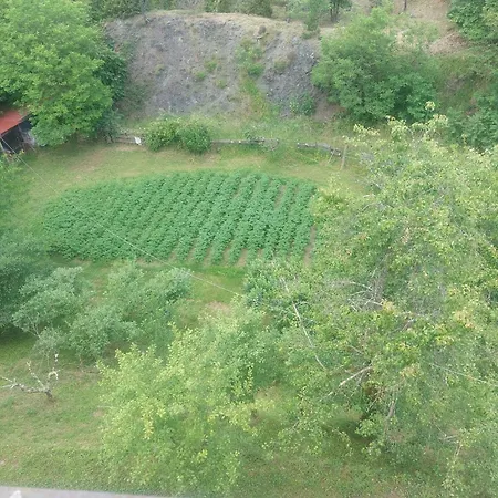 #bordigona Carrodano Inferiore