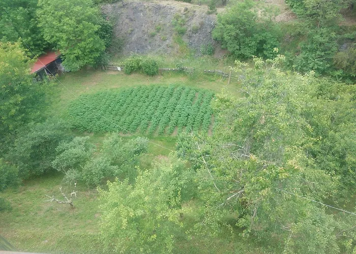 #bordigona Carrodano Inferiore